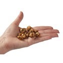 Psilocybe pajaritos