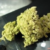 Bluehell (Medical Seeds)
