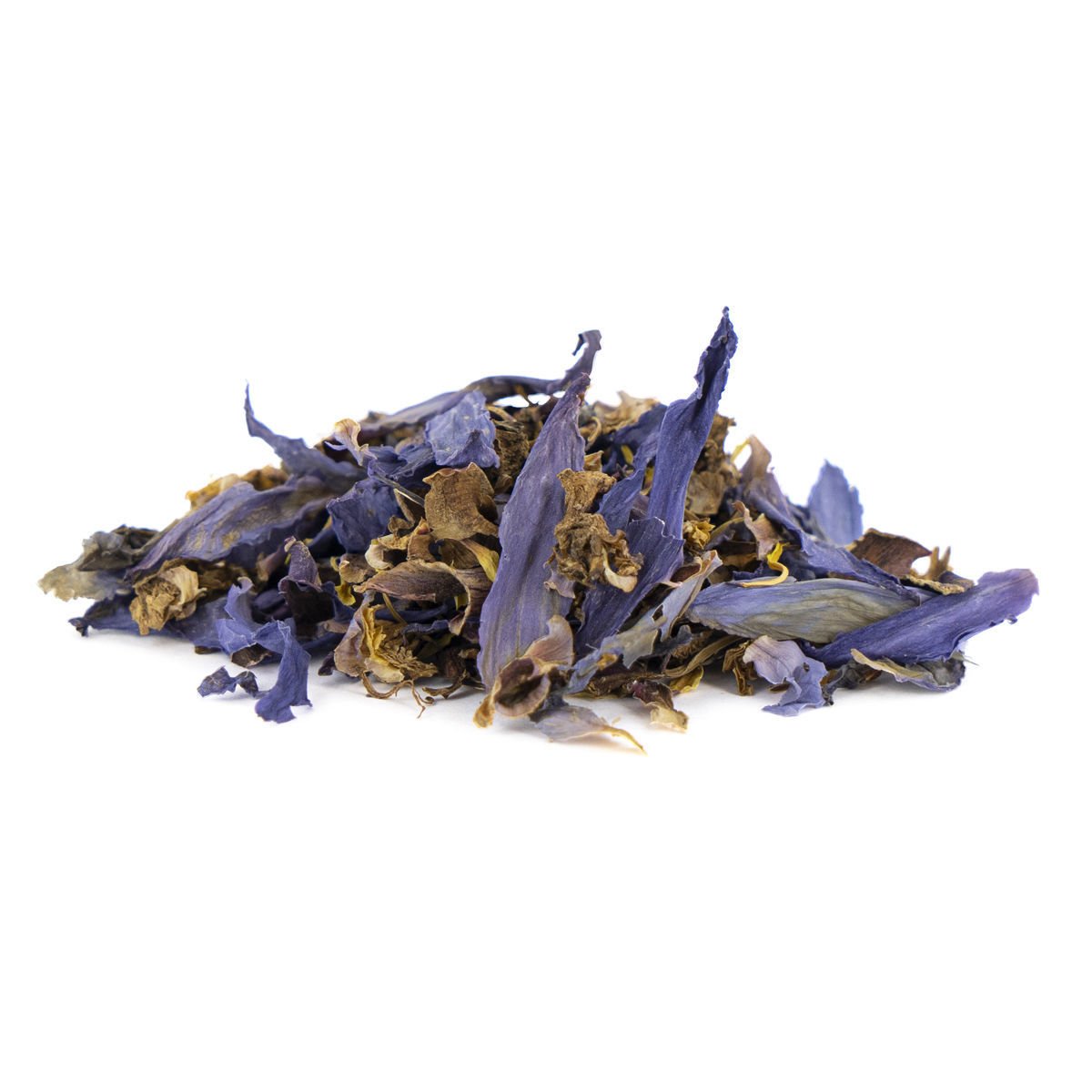 voormalig Italiaans spanning Koop Blauwe Lotus | Nymphaea caerulea | Hoogste Kwaliteit - Zamnesia