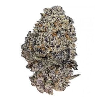 Original Oz (Growers Choice) Feminized