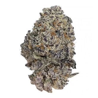 Original Oz (Growers Choice) Feminized