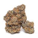 King Louis Garcia (Growers Choice) Feminized