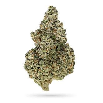 Crazy Roses Fast Version (Growers Choice) Feminized
