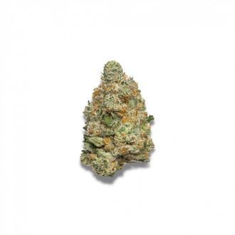 Apple Fritter Autoflower (Growers Choice) Feminized