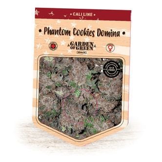 Phantom Cookies Domina (Garden Of Green) Feminized