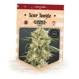 Sour Tangie (Garden Of Green) Feminized