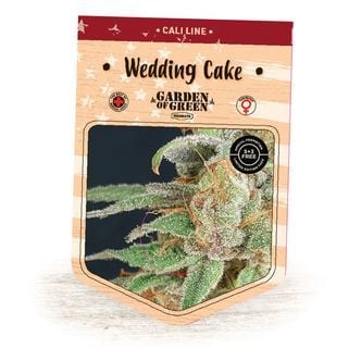 Wedding Cake (Garden Of Green) Feminized