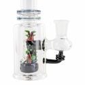 Zen Bonsai Mini Tube (Empire Glassworks)