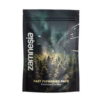 Fast Flowering Pack - Feminized Strains