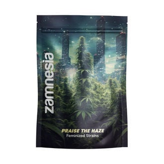 Praise The Haze Pack - Feminized Strains