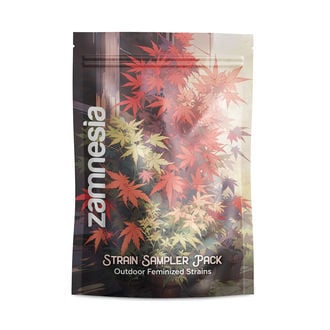 Strain Sampler Pack - Outdoor Feminized Strains