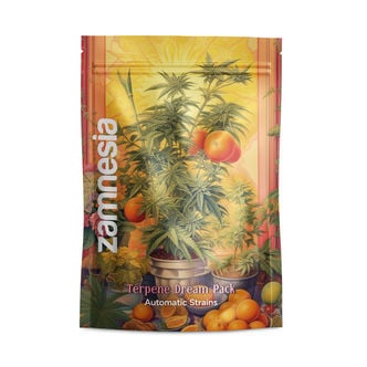 Terpene Dream Pack - Autoflowering Strains