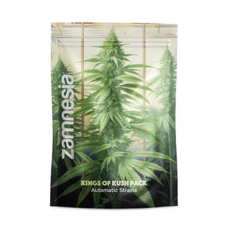 Kings of Kush Pack - Autoflowering Strains