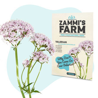 Wellness Zaden Pack - Zammi's Farm