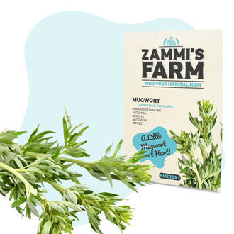 Wellness Zaden Pack - Zammi's Farm