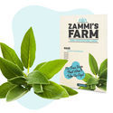 Therapeutische Zaden Pack - Zammi's Farm