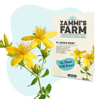 Wellness Zaden Pack - Zammi's Farm
