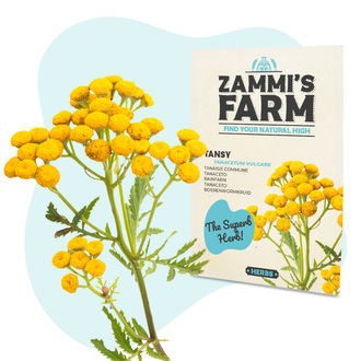 Wellness Zaden Pack - Zammi's Farm
