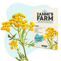 Therapeutische Zaden Pack - Zammi's Farm