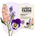 Bloemenzaden Pack - Zammi's Farm