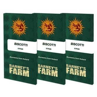 Biscotti (Barney's Farm) Feminized