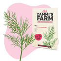BBQ-Kruiden Zaden Pack - Zammi's Farm