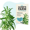 Theekruiden Zaden Pack - Zammi's Farm