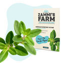 Theekruiden Zaden Pack - Zammi's Farm