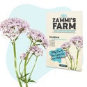 Theekruiden Zaden Pack - Zammi's Farm