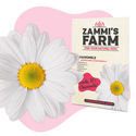 Theekruiden Zaden Pack - Zammi's Farm