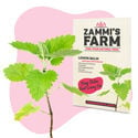 Theekruiden Zaden Pack - Zammi's Farm