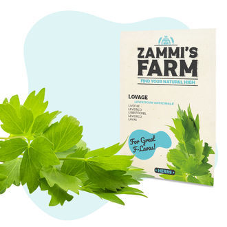 Keukenkruiden Zaden Pack - Zammi's Farm
