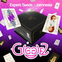 Gigglez (Expert Seeds x Zamnesia) Feminized