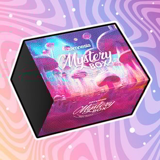 Magic Truffel Mystery Box (Zamnesia)