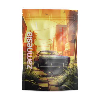 Saint Andreas Z-lock Gripzakken (Groot)