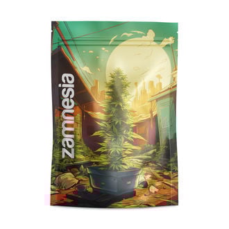 Saint Andreas Z-lock Gripzakken (Groot)