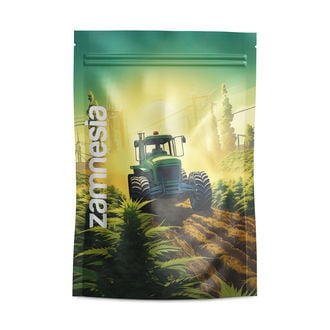 Saint Andreas Z-lock Gripzakken (Groot)