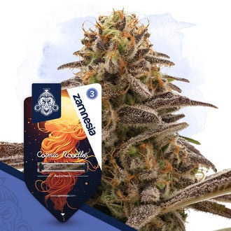 Cosmic Noodles Automatic (Zamnesia Seeds) Feminized