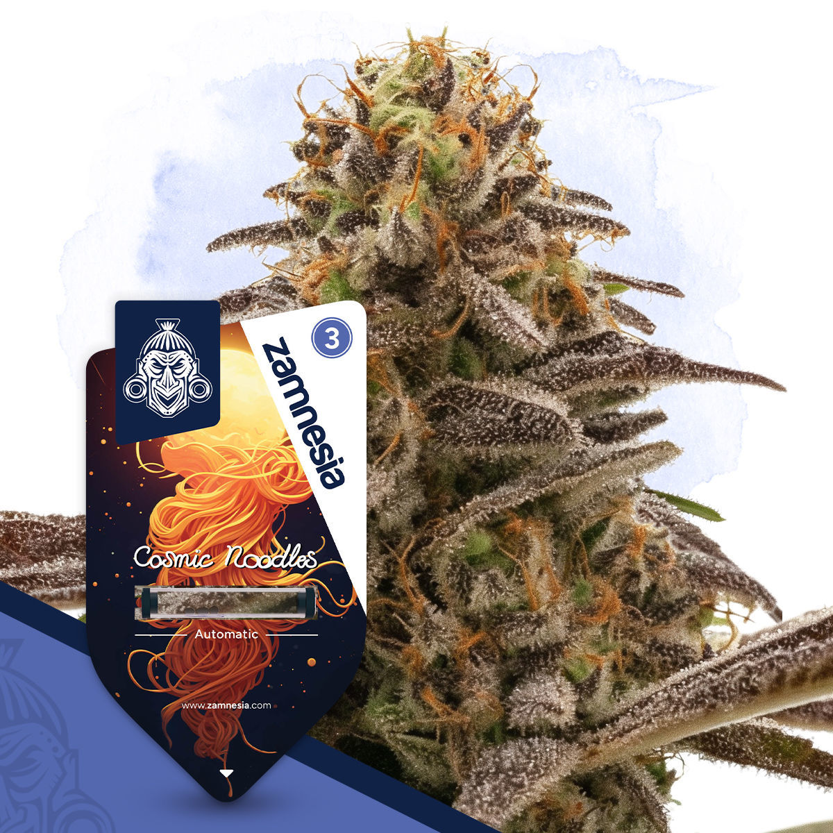Cosmic Noodles Automatic | Zamnesia Seeds