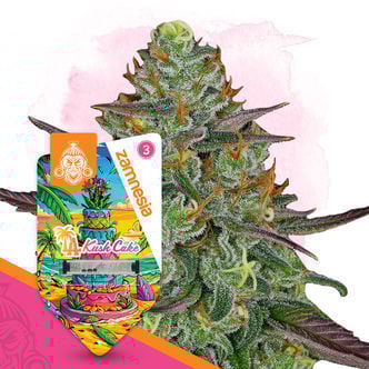 LA Kush Cake Automatic (Zamnesia Seeds) Feminized