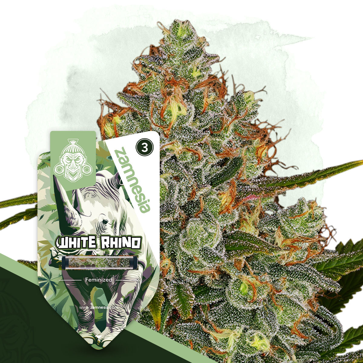 ★PSY/GOA★ V.A / White Rhino 2LP White Rhino | Zamnesia Seeds