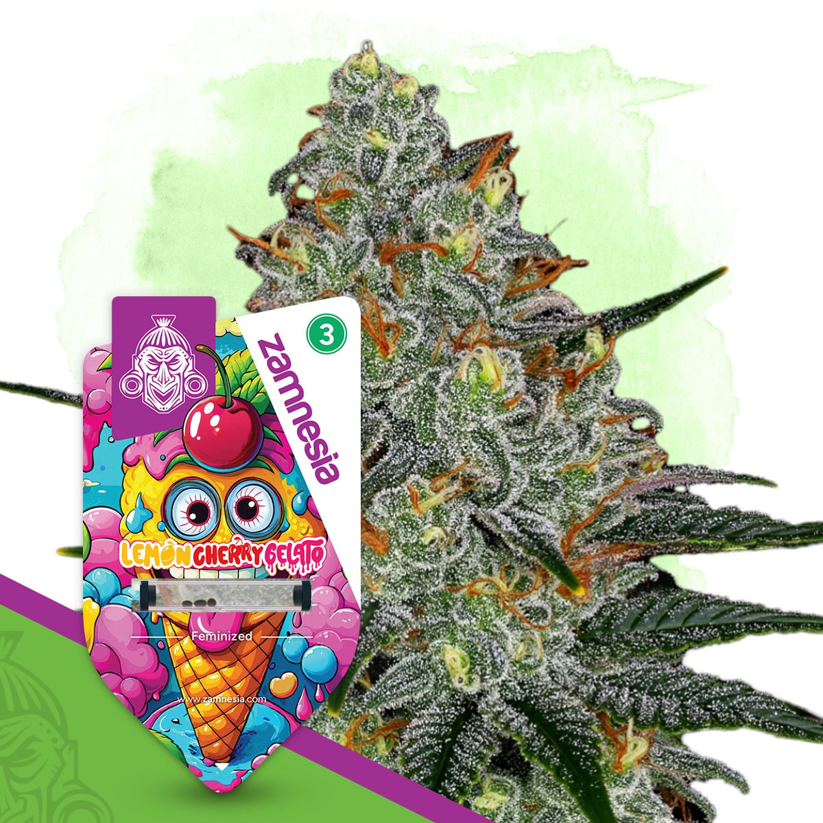 zamnesia-seeds-lemon-cherry-