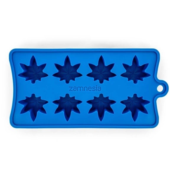 IJsblokjesvorm (Zamnesia)