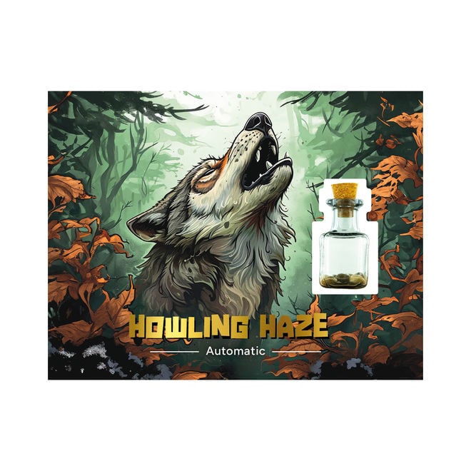 Tolovsiz porno videolarni tomosha qiling Chubby jinsiy aloqa qizlar