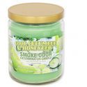 Kaars Cool Cucumber & Honeydew (Smoke Odor Exterminator)