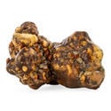 Titan Magic Truffels (Zamnesia)