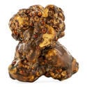Titan Magic Truffels (Zamnesia)