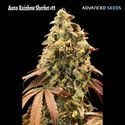 Auto Rainbow Sherbet 11 (Advanced Seeds) Feminized