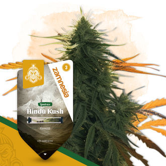 Landrace Pack - Feminized Soorten