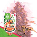Desserts Pack - Automatic Strains